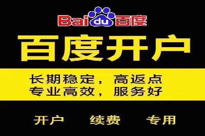 竞价广告实战：XX品牌如何通过竞价提升品牌影响力
